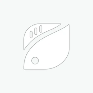 Заполнитель